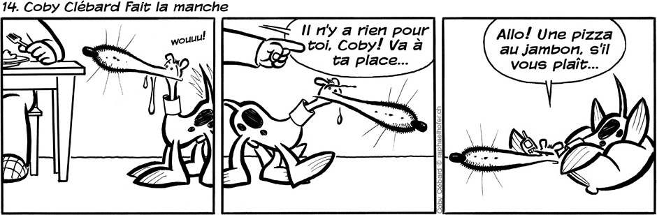 14. Coby Clébard fait la manche