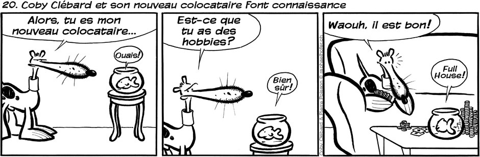 20. Coby Clébard et son nouveau colocataire font connaissance