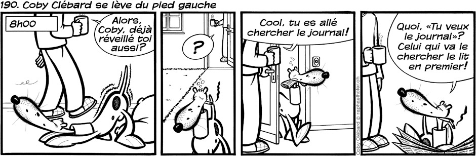 190. Coby Clébard se lève du pied gauche