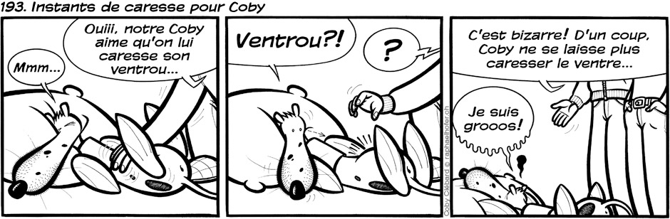193. Instants de caresse pour Coby