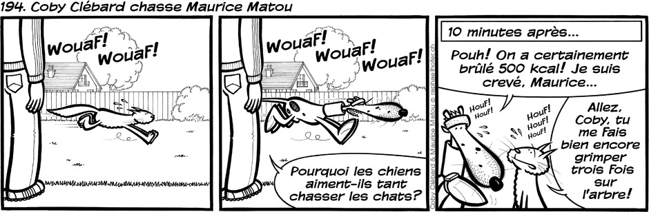 194. Coby Clébard chasse Maurice Matou
