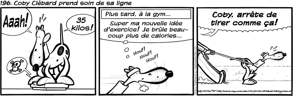 196. Coby Clébard prend soin de sa ligne