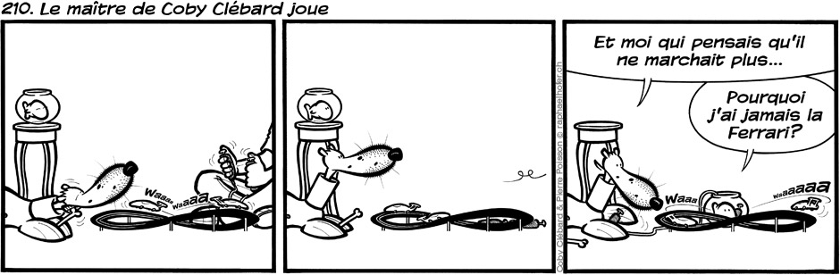 210. Le maître de Coby Clébard joue