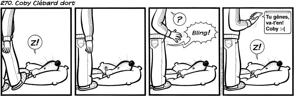 270. Coby Clébard dort