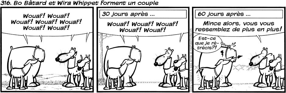 316. Bo Bâtard et Wira Whippet forment un couple