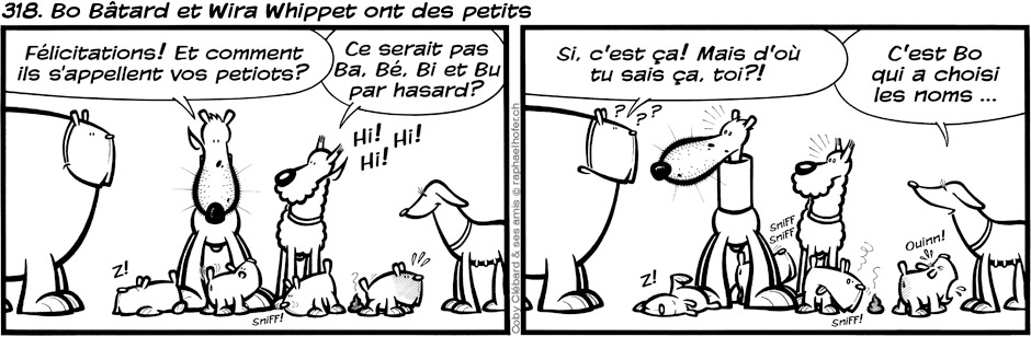 318. Bo Bâtard et Wira Whippet ont des petits