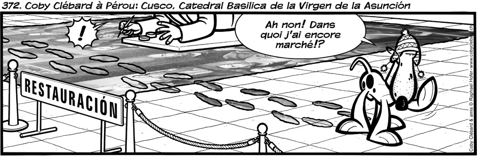 372. Coby Clébard à Pérou : La Catedral del Cuzco