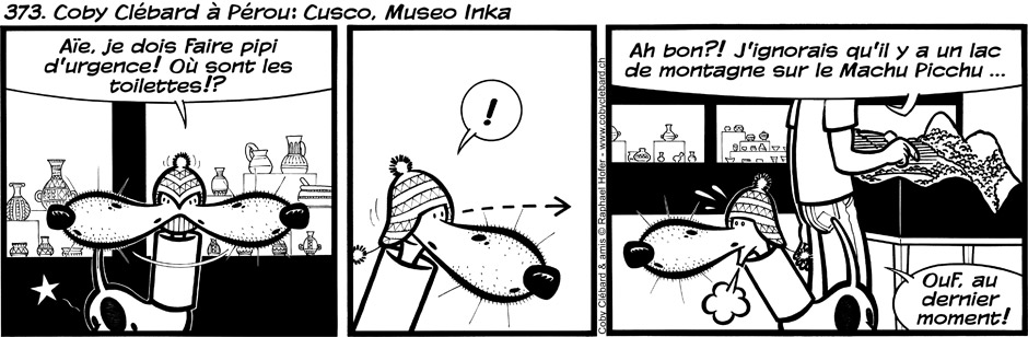 373. Coby Clébard à Pérou : Cusco, Museo Inka