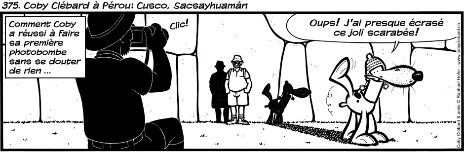 375. Coby Clébard à Pérou : Cusco, Sacsayhuaman