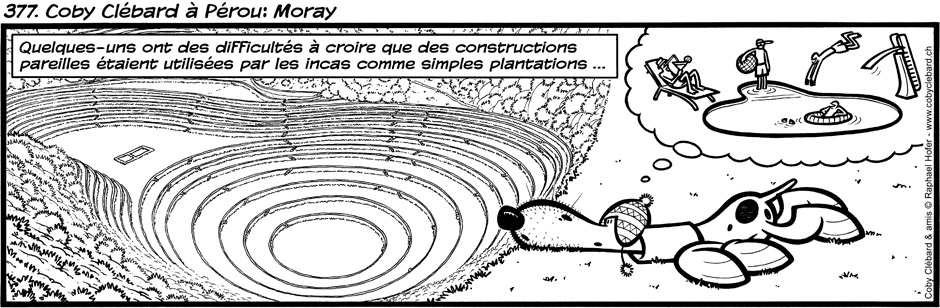 377. Coby Clébard à Pérou : Moray