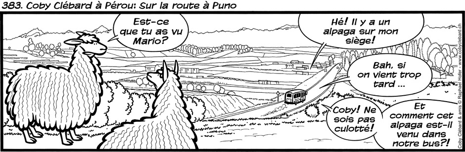 383. Coby Clébard à Pérou : Sur la route à Puno