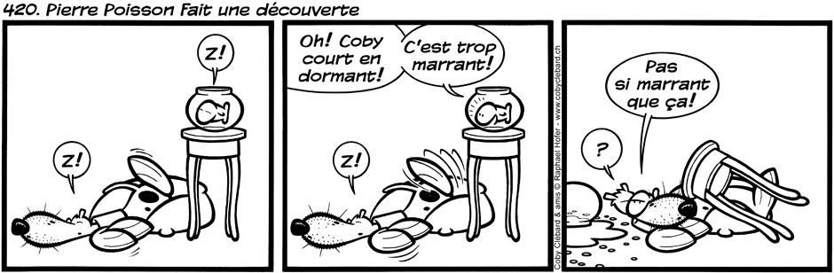 420. Pierre Poisson fait une découverte