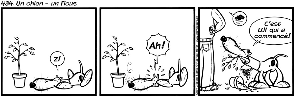 434. Un chien - un ficus