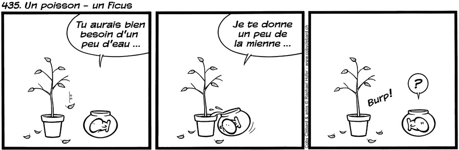 435. Un poisson - un ficus